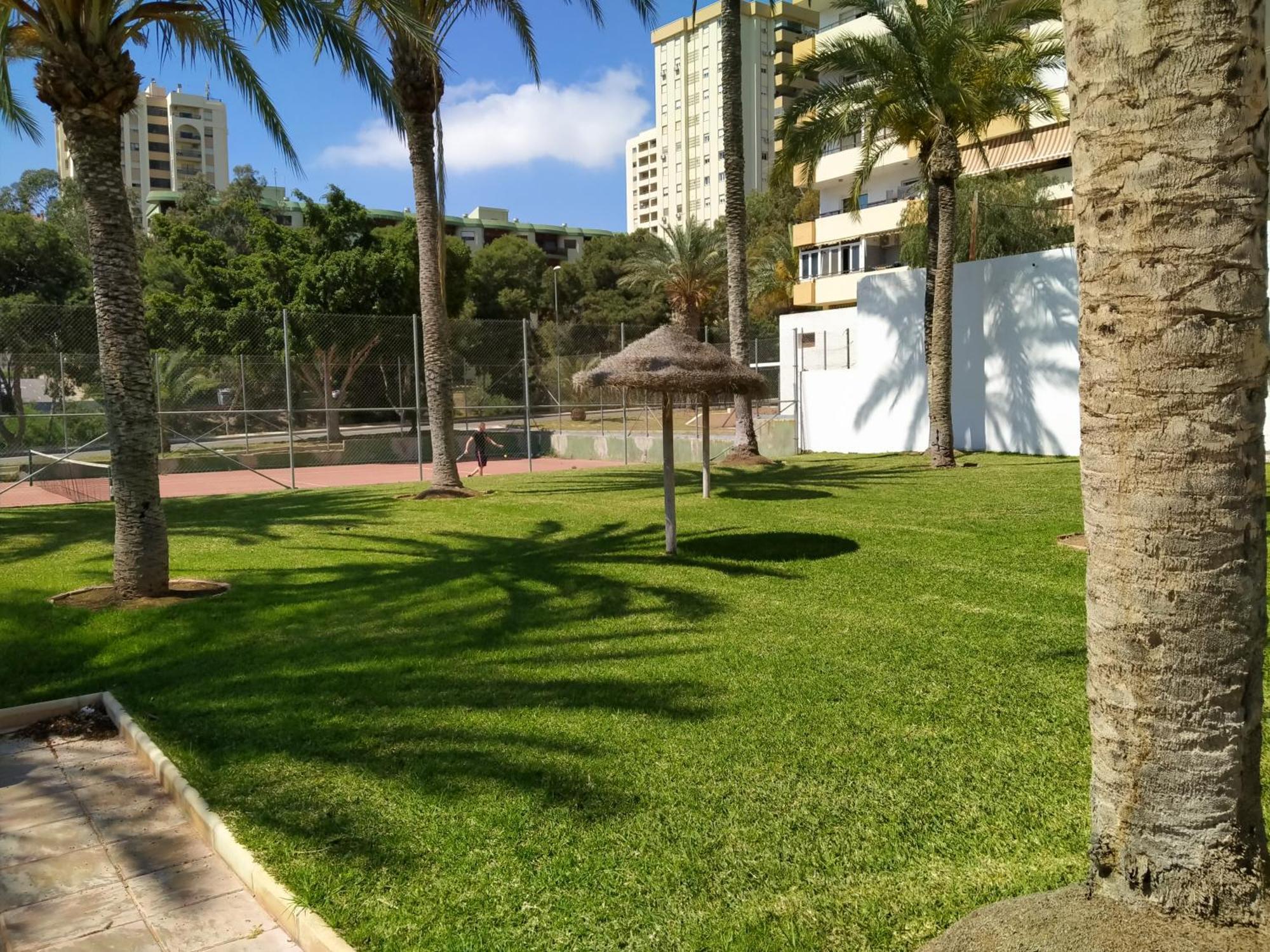 Estudio Paraiso Aguadulce  Luaran gambar